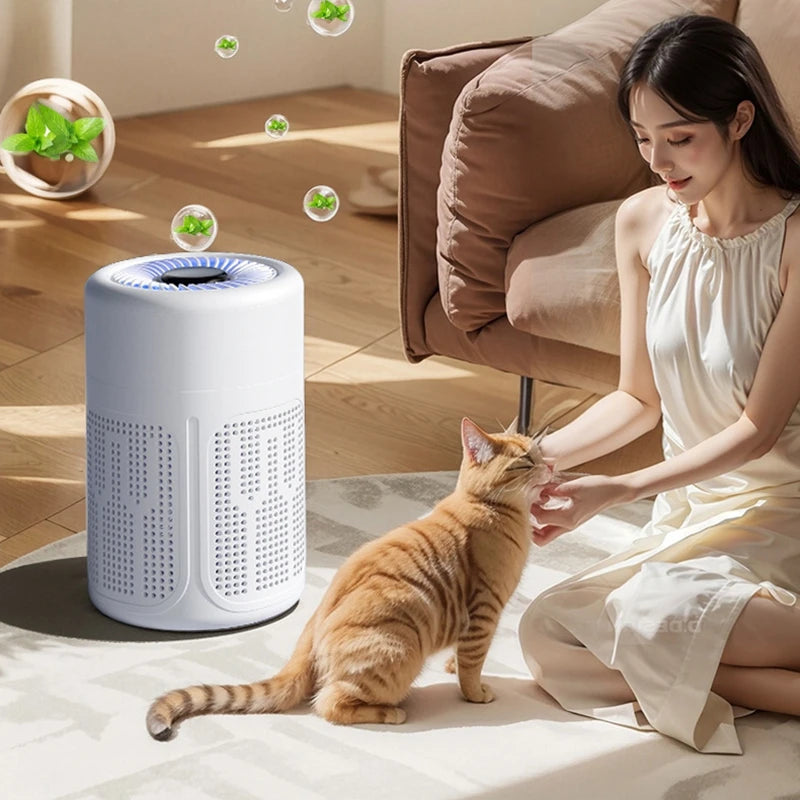 Portable Desktop Air Purifier Hepa Filter with Negative Ion Technology Eliminates Formaldehyde Odors Smoke Dust Particles